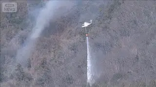 山梨・上野原市の山火事 1日超経過も延焼 消火活動続く(2026年1月9日)