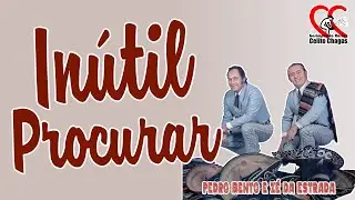 In&uacute;til Procurar - Pedro Bento e Z&eacute; da Estrada