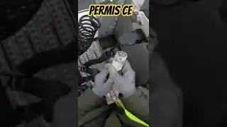 ATTELAGE / PERMIS CE