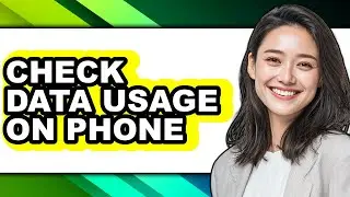 How to Check Data Usage on Phone (only Way)