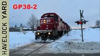 Snow Laden morning in the Short Line (TCRC 295 on the Kawartha Lakes Railway)