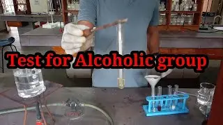 Test for alcoholic group Functional group class 12 chemistry practical file