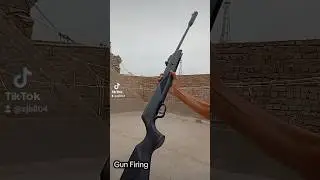 Airgun Shooting Perfect Shot 🎯 | Amazing Air Rifle Accuracy Test