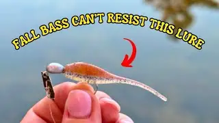 Ultralight Bass Fishing! (Micro Chatterbait) 