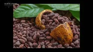 IMPACT OF CLIMATE CHANGE ON AGRICULTURE IN GHANA (KUMASI GROUP 1)