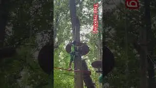 #tree #trekking #trekkingvlog