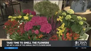 A Look Around Macy's Flower Show
