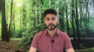 Полное руководство по нейронной MT | Вводная видеосерия