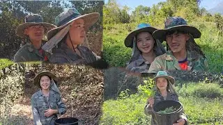 Kuv tu me hlub wb mus de zaub lo noj su 4 กุมภาพันธ์ ค.ศ. 2026