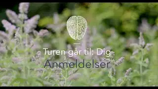 Online Kursus - Anmeldelser