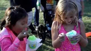 30th Annual DarienFest 2017- Video produced by Alkaye Media Group