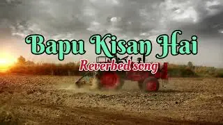 Bapu kisan hai | reverb song | lofi music | kisan song 