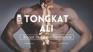 [Tongkat Ali] Boost male performance and energy