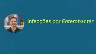 Infec&ccedil;&otilde;es por Enterobacter