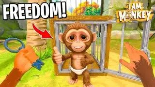 I BECAME A MONKEY🐒🙈 