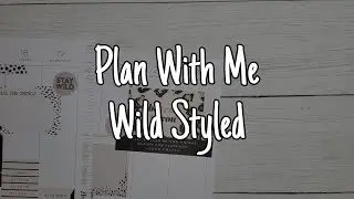 Wild Styled for the Win | Happy Planner Classic Vertical | Work Planner