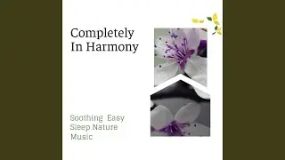 Calming Oasis
