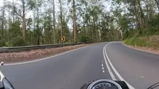360 Video - Monbulk Rd ride through forest and trees near Kallista with 360 camera on the gb350