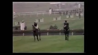 The 1980 Champion Hurdle