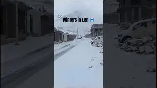 Snowfall in Leh Ladakh ❄️☃️ #ladakh #snow #leh #shorts #viral #shortvideo