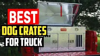 ✅Top 5 Best Dog Crates for Truck Beds in 2025