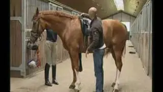 SADDLE D1 PRESTIGE ITALIA ENGLISH