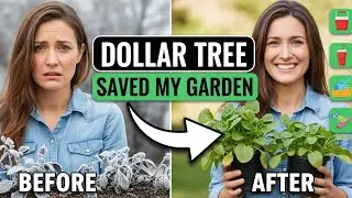 10 Dollar Tree Garden Hacks to Keep Your Plants Alive All Winter Long.