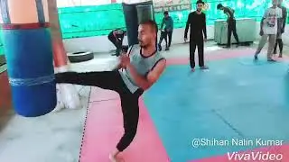 Golden Fist karate