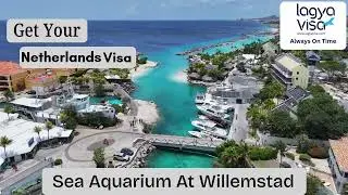 🌍 Get Your Netherlands Visa – Easy & Hassle-Free!✈️