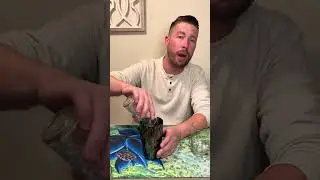 Mono-Green Infection paired with a Brooklyn 