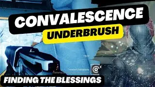 Destiny 2: Convalescence Underbrush Complete Guide | How to Get the Blessings [4K]