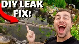 FIXING A LEAKING POND!!!
