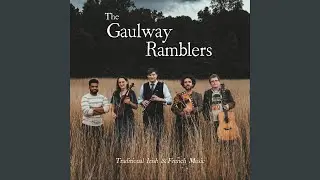 The Collier's Reel / The New Mown Meadow (Reels)