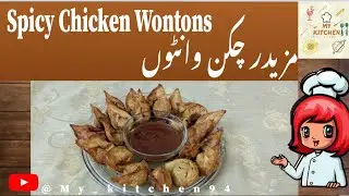 One Bite Mini Chicken Wontons | Make And Freeze Ramadan Recipes | Iftar Party Recipes #2024