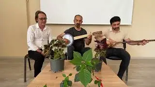 Diyarbakır (meşk-i muhabbet) Kazancı Bedih Torunu Bestesi