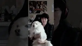 ПЕЧЕНЬЕ