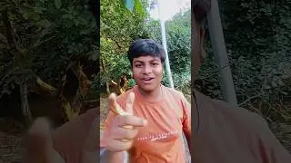 Krrish ka gana sunega#viral #viralshorts #viralreels #viralvideos #comedy #viral #reels #1kviews