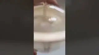 Rice Milk!? No Cow Needed