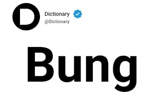 Bung Meaning In English