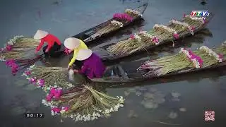 TTV1 - B&aacute;o & PTTH T&acirc;y Ninh | H&igrave;nh hiệu GTCT h&ocirc;m nay (29/12/2025, khung đ&ecirc;m)