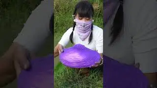 Underwater Discovery: Pretty Girl Cracks Open Clam's Secret #pearl #pearlhunter
