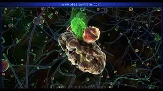 Enzymes as biocatalysts