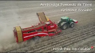 SV260 - Grimme - Arrachage Pommes de Terre ! 🥔🇫🇷