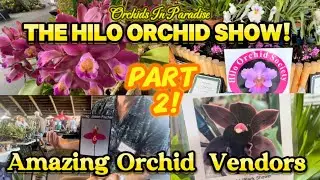 Part 2 of Hawaii’s Biggest & Best Orchid Show!