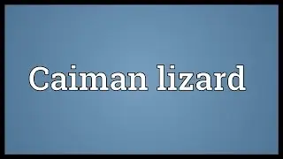 Caiman lizard Meaning