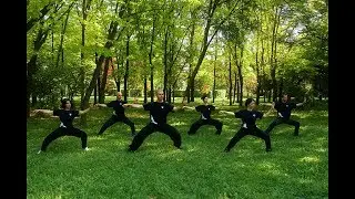 Școala Taijidao - taijiquan stilul Chen