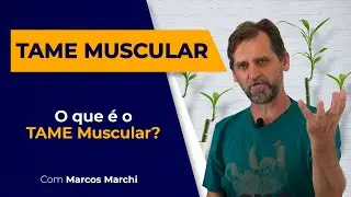 TAME Muscular. O que &eacute; isso?