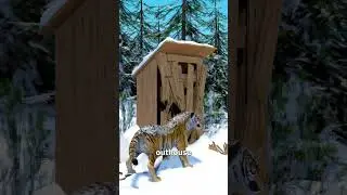 Тигр, который охотился за ним почти два дня 😨