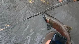 Coho salmon fishing in horrible windy conditions | Lake Michigan Tributaries | Wisconsin