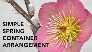 Simple spring container arrangement